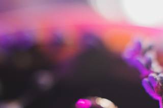 Romeu Bettencourt - 6