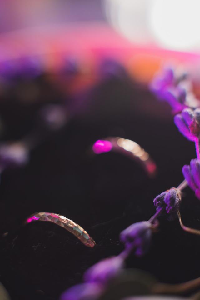 Romeu Bettencourt - 3