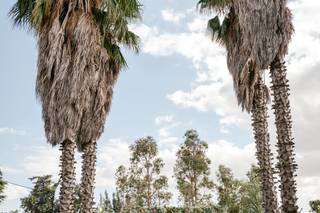 Humus Farm - 8