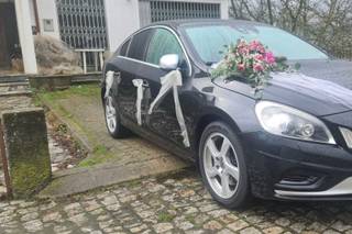 Chuva de Prata Florista - 18