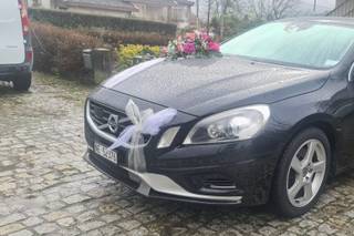 Chuva de Prata Florista - 19