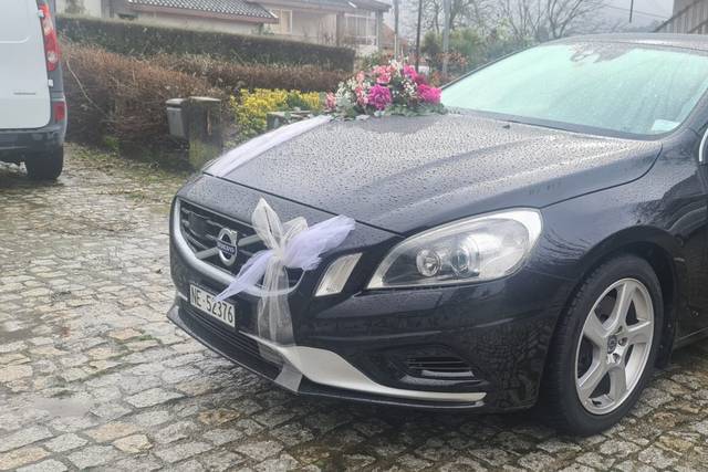 Chuva de Prata Florista 4