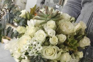 Papoila Vermelha - 5