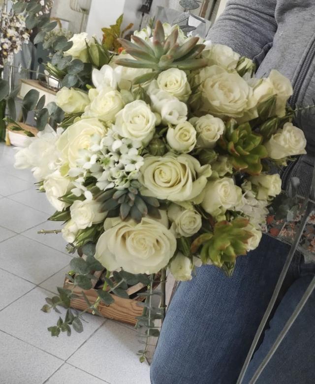 Papoila Vermelha - 2