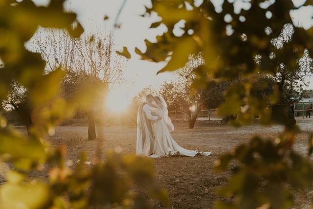 Make Me Feel Weddings 5