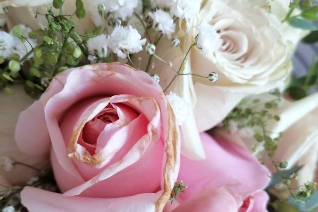A Boutique de Flores 5