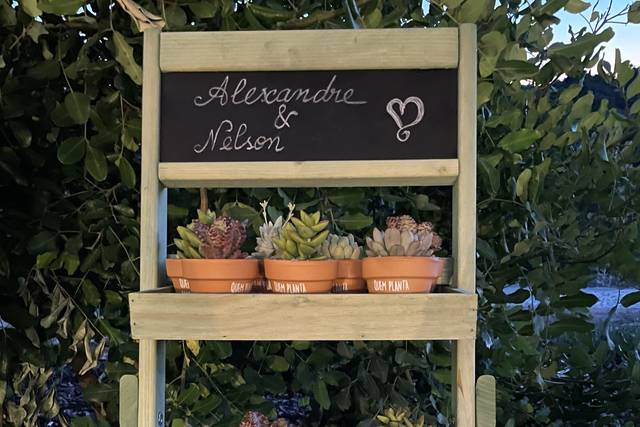 CactiJardins 1