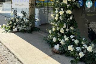 Tendências Naturais - 16