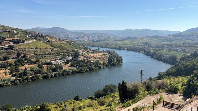 Delfim Douro Hotel - 3