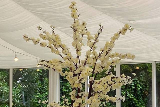 Quinta Pinhal dos Frades - RGN Eventos 2