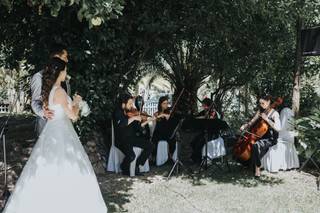 LX Strings - 4