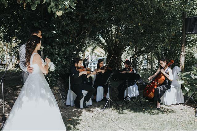 LX Strings - 1