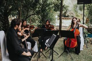 LX Strings - 5