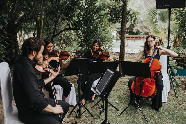 LX Strings - 2