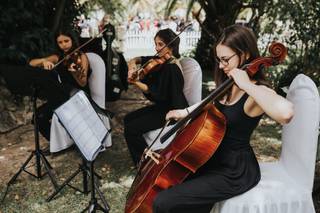 LX Strings - 6