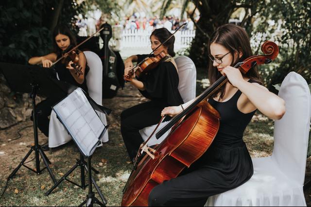 LX Strings - 3