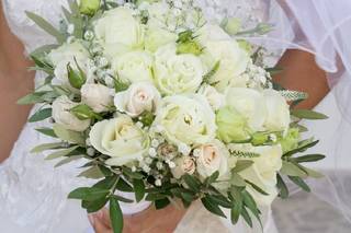 Papoila Vermelha - 12