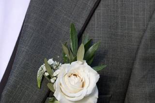 Papoila Vermelha - 13