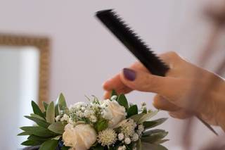 Papoila Vermelha - 14