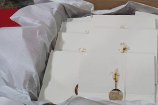 Essência by Liliana Pacheco - 5