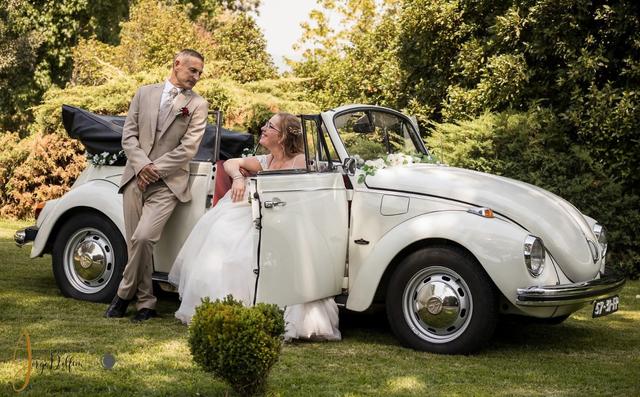 Dream Car 2CV & VW Beetle - 3