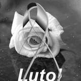Nidia