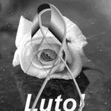 Nidia