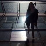Ines