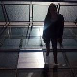 Ines