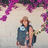 Delfina