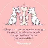 Catarina