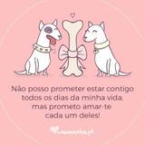 Catarina