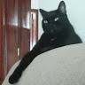 Henrique