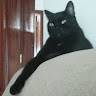 Henrique