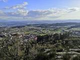 Cátia