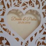 Diana & Pedro
