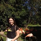 Beatriz