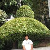 Paulo