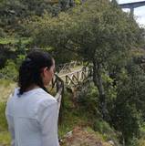 Andreia