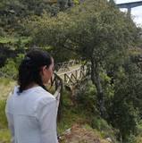 Andreia