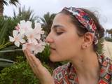 Andreia