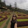 Andreia