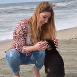 Catarina
