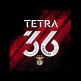 Renato