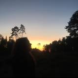 Sara