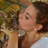 Catarina