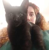 Catarina