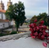 Anocas