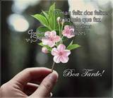 CONCEIÇÃO
