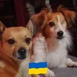 Sílvia